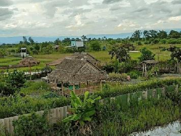 หนีร้อนไปพึ่งเย็นหาที่ดินหลังแปลงติดน้ำทำบ้านสวนกันเถอะ T.062-1574449